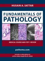 Fundamentals of Pathology Pathoma by Husain A Sattar