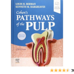 Cohen's Pathways of the Pulp