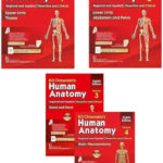 B D CHAURASIA
BD CHAURASIAS HUMAN ANATOMY 8th EDITION SET OF Volume 1, 2, 3,