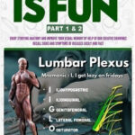 Anatomy is Fun Part 1 & 2