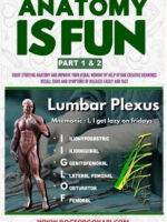 Anatomy is Fun Part 1 & 2