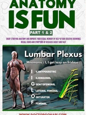 Anatomy is Fun Part 1 & 2