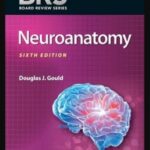 BRS Neuroanatomy 6th Edition