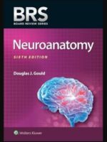 BRS Neuroanatomy 6th Edition