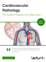 Cardiovascular Pathology The Perfect Preparation for USMLE Step 1 2019 Lecturio
