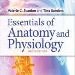 Student Workbook for Essentials of Anatomy and Physiology Eighth Edition