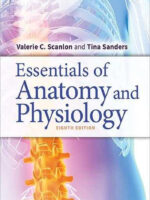 Student Workbook for Essentials of Anatomy and Physiology Eighth Edition