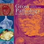 Gross Pathology Handbook A Guide to Descriptive Terms