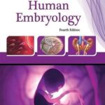 Human Embryology 4th Edition
