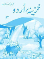 Khazeena-e-Urdu Skill Book 3