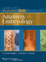 Lippincott's Illustrated Q&A Review of Anatomy and Embryology (Lippincott Illustrated Reviews Series) Illustrated Edition