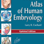 Netter's Atlas of Human Embryology 1st Edition