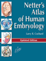 Netter's Atlas of Human Embryology 1st Edition