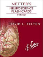 Netter’s Neuroscience Flash Cards 3rd Edition