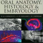 Oral Anatomy >  Histology and Embryology 5th Edition by Berkovitz