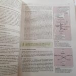 BIOCHEMISTRY 8TH EDITION BY EMINE ERCIKAN ABALI