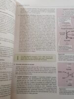 BIOCHEMISTRY 8TH EDITION BY EMINE ERCIKAN ABALI