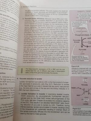 BIOCHEMISTRY 8TH EDITION BY EMINE ERCIKAN ABALI