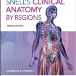 Snells Clinical Anatomy by Regions 10th Edition