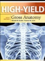 High-Yield Gross Anatomy