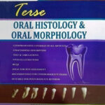 Terse Oral Histology and Oral Morphology