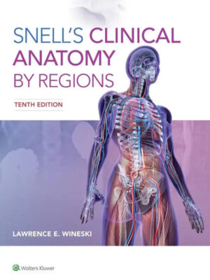 SNELLS CLINICAL ANATOMY BY REGIONS LAWRENCE E. WINESKI (11th Edition)