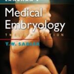 Langman’s Medical Embryology - Coloured Matte Finish