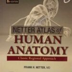 Atlas of Human Anatomy by Frank H. Netter 8th Edition