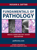 Fundamentals of Pathology Pathoma by Husain A Sattar