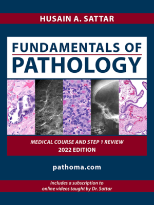Fundamentals of Pathology Pathoma by Husain A Sattar