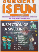 Surgery Is Fun 2023 Edition Color