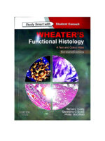 wheater’s functional histology a text and colour atlas seventh edition