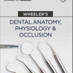 Wheelers Dental Anatomy Physiology & Occlusion